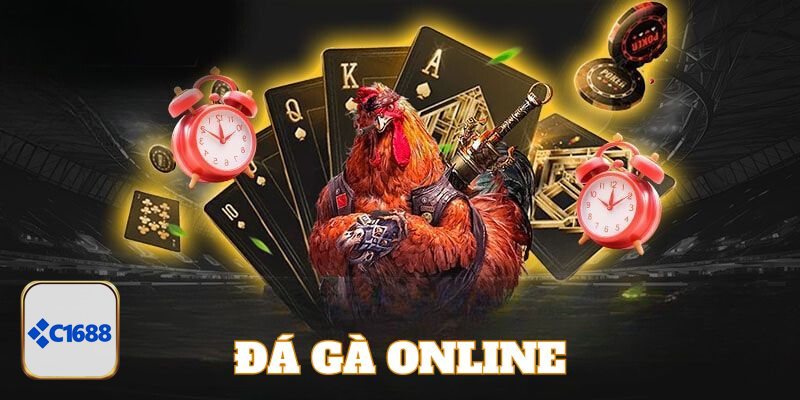 Đá Gà C1688 - Cựa dao – Tốc chiến, tốc thắng Đá Gà C1688 - Cựa dao – Tốc chiến, tốc thắng