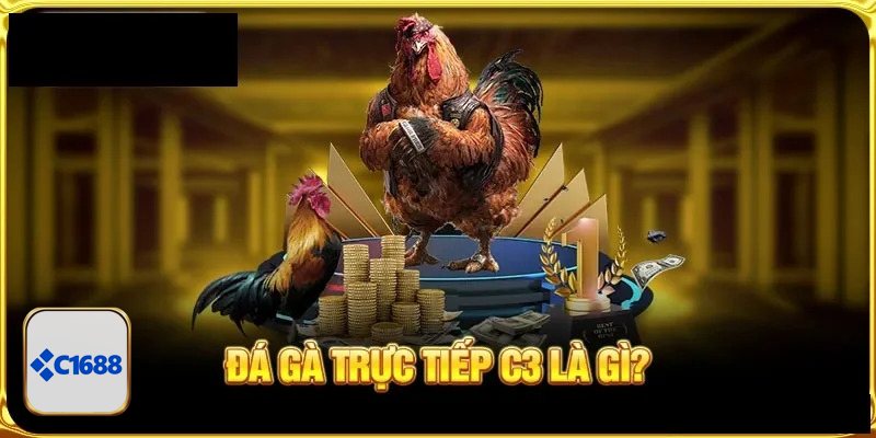 Đá Gà Cựa Sắt - Quy định về chiến kê và cựa sắt thi đấu Đá Gà Cựa Sắt - Quy định về chiến kê và cựa sắt thi đấu